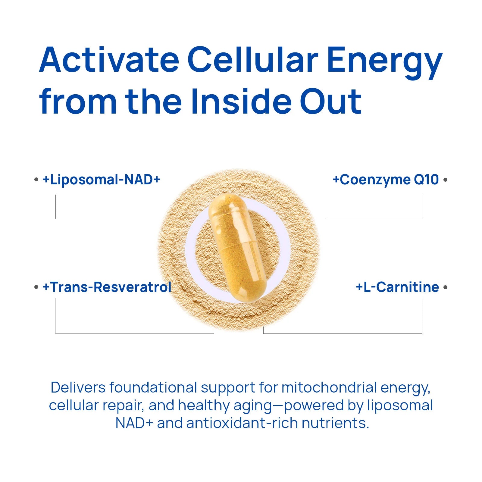 ODEIUN™ NAD+ Supplement for Men - 60 Capsules