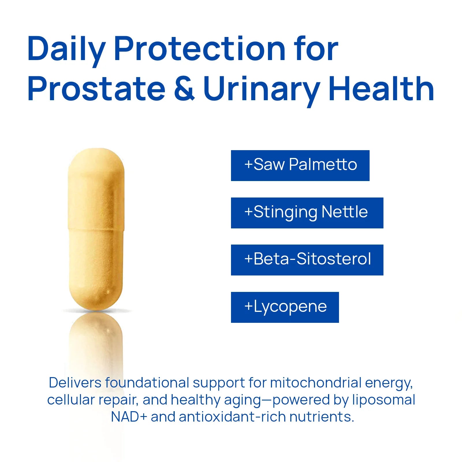 ODEIUN™ NAD+ Supplement for Men - 60 Capsules